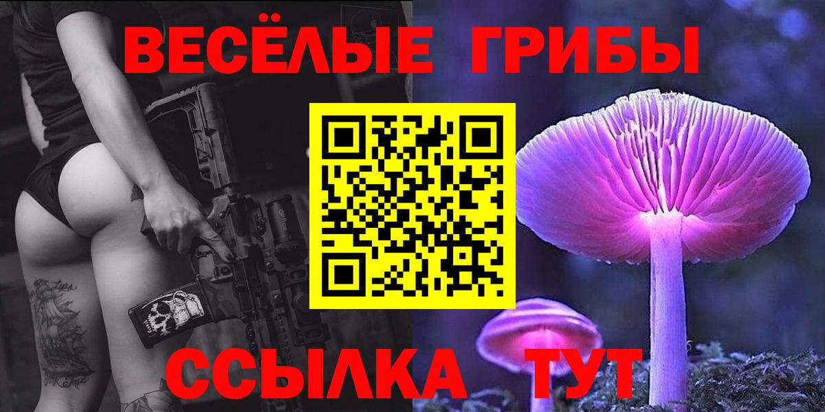 Псилоцибиновые грибы ЛСД Зима