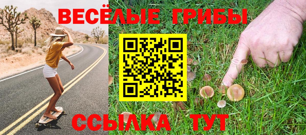 Псилоцибиновые грибы Psilocybine cubensis  Вход с VPN  Зима 