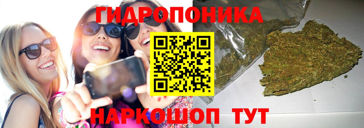 Конопля конопля  Шишки марихуана индика  Вход с VPN  Бошки марихуана Amnesia  Зима 